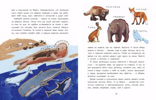 Сахалин. Самый большой остров в России 3