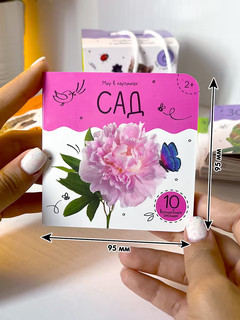 Шоубокс 'Мир в картинках' 3