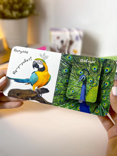 Шоубокс 'Мир в картинках' 8