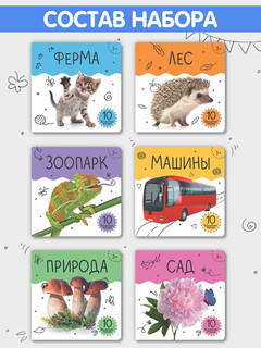 Шоубокс 'Мир в картинках' 2