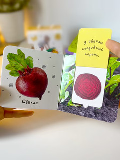 Шоубокс 'Первые знания' 6