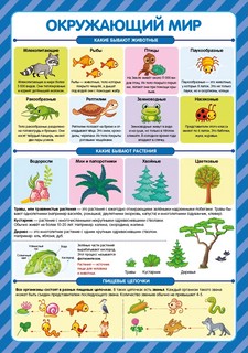 Обучающие плакаты 'Знания для школьников' 1-2 класс, набор плакатов 4