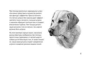 Скетчбук по рисованию животных. Простые пошаговые уроки по созданию любимых питомцев 11