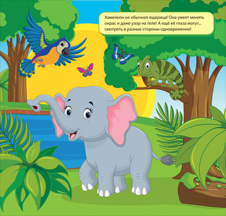 Раскраска водная многоразовая 'Дикие животные' 2