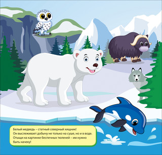 Раскраска водная многоразовая 'Дикие животные' 3