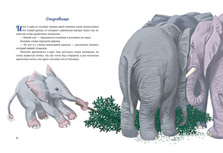 Мотылёк и волшебный шар 3