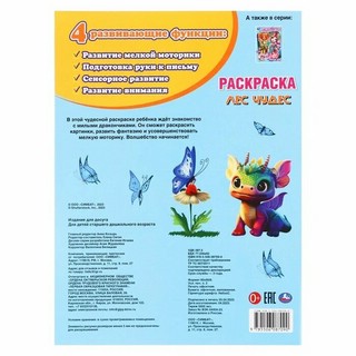 Лес чудес. Раскраска 2