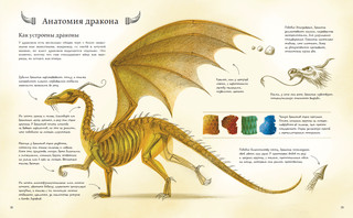 Большая книга о драконах 5