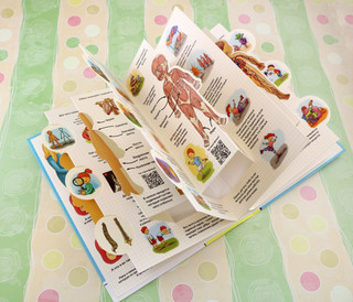 Секреты тела человека. Колесо обозрения 6