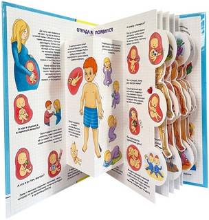 Секреты тела человека. Колесо обозрения 3