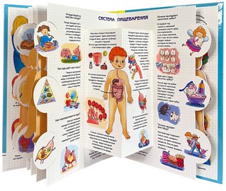 Секреты тела человека. Колесо обозрения 4