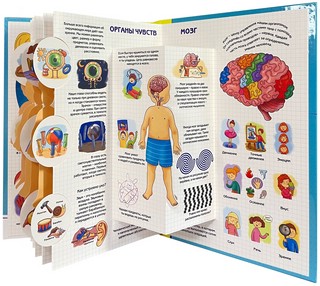 Секреты тела человека. Колесо обозрения 5