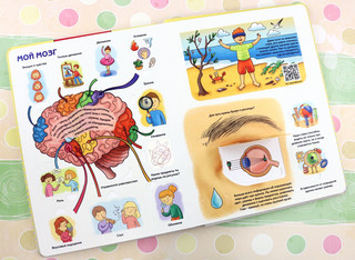 Как устроен человек? Энциклопедия с окошками 2