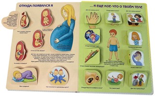 Как устроен человек? Энциклопедия с окошками 6