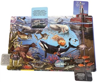 Что там под водой? Энциклопедия с окошками 4