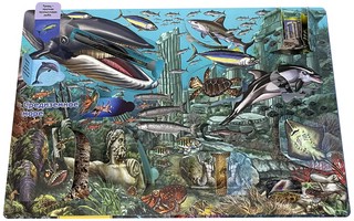 Что там под водой? Энциклопедия с окошками 5