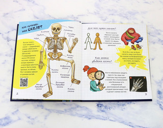 Тайны твоего тела. Энциклопедия для детей 5