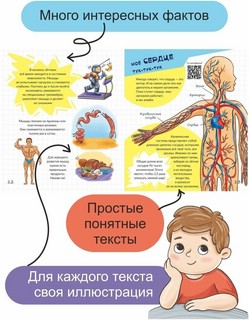 Тайны твоего тела. Энциклопедия для детей 3