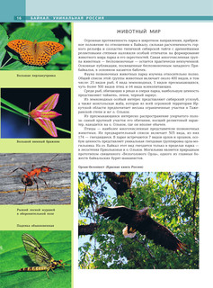 Байкал. Уникальная Россия 16