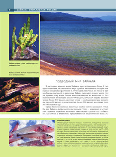 Байкал. Уникальная Россия 8