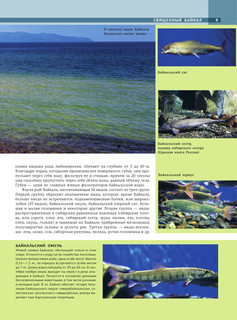 Байкал. Уникальная Россия 9