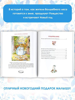 Зимняя книга кролика Питера 6