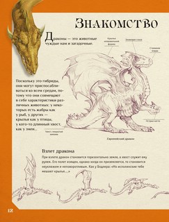 Рисуем фэнтези. Полный курс для начинающих 11