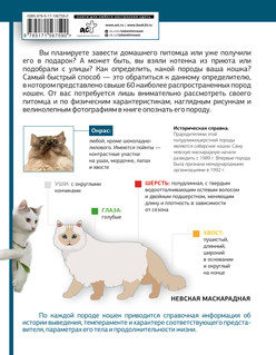 Определитель кошек. Физические характеристики и особенности породы 17
