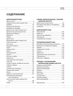 Определитель кошек. Физические характеристики и особенности породы 3