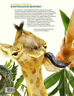 Детёныши животных в натуральную величину 2