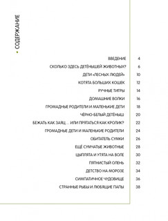 Детёныши животных в натуральную величину 3