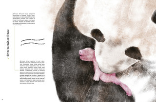 Детёныши животных в натуральную величину 4