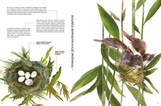 Детёныши животных в натуральную величину 5