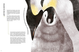 Детёныши животных в натуральную величину 7