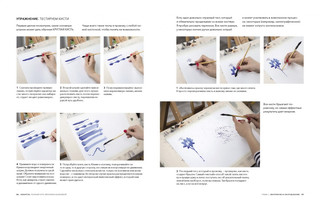 Акварель. Полный курс Вероники Калачевой 3