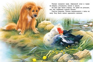 Истории со смыслом. Как хорошо быть нужным 2