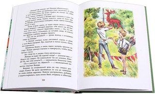 Оруженосец Кашка 5