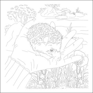 Сюжеты для акварели Любимые животные 3