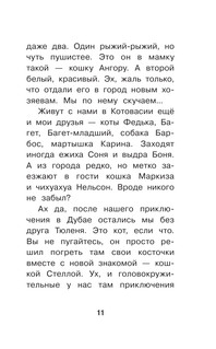 Котовасия. Круговорот мечтаний 9