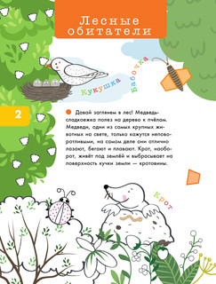 Лесные звери и птицы. Объемные раскраски 3