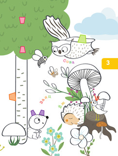 Лесные звери и птицы. Объемные раскраски 4