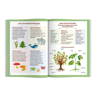 Шпаргалки отличника. Готовимся к ВПР Окружающий мир 2