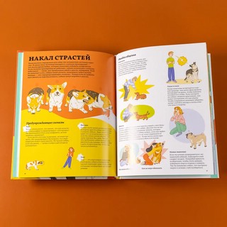 Секреты собак. Как понять собаку и стать ей другом 10