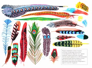 Сокровища коллекционеров 3