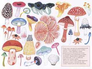 Сокровища коллекционеров 4