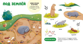 Прогулки по лесу. Домашние животные 3