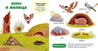 Прогулки по лесу. Домашние животные 5