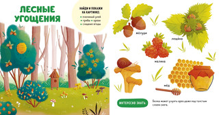 Прогулки по лесу. Домашние животные 6