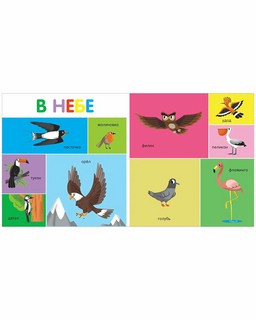 100 животных. Мои первые слова 4