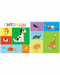 100 животных. Мои первые слова 6